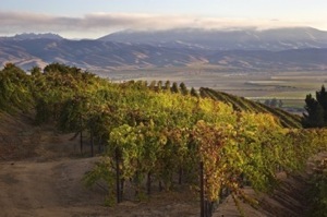 Paraiso-Santa-Lucia-Highlands