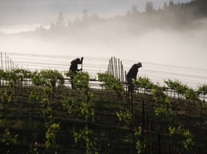 Post image for August Wine Events